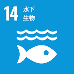 联合国目标——14水下生物